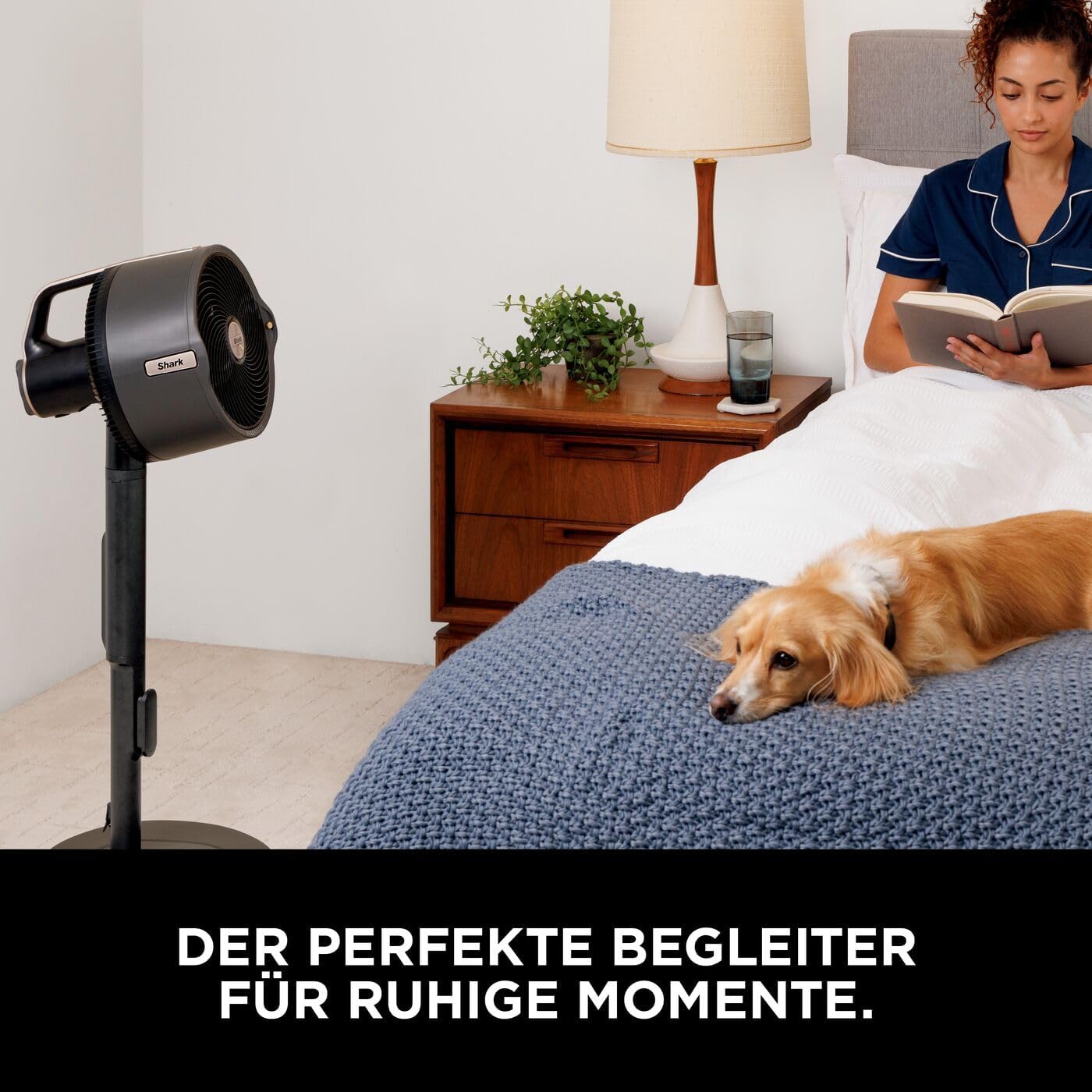 Shark FlexBreeze Pro Mist Akku-Ventilator für innen und außen + Geschenk 🎁